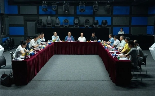Expert Delegation Visits DLW Lighting